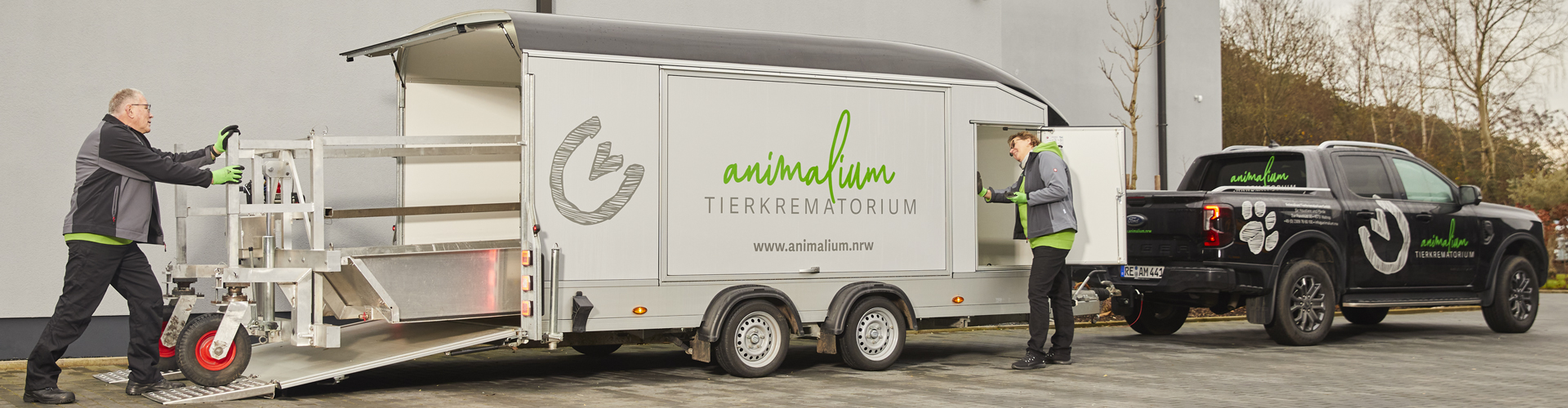 Das Animalium-Team bei der Arbeit