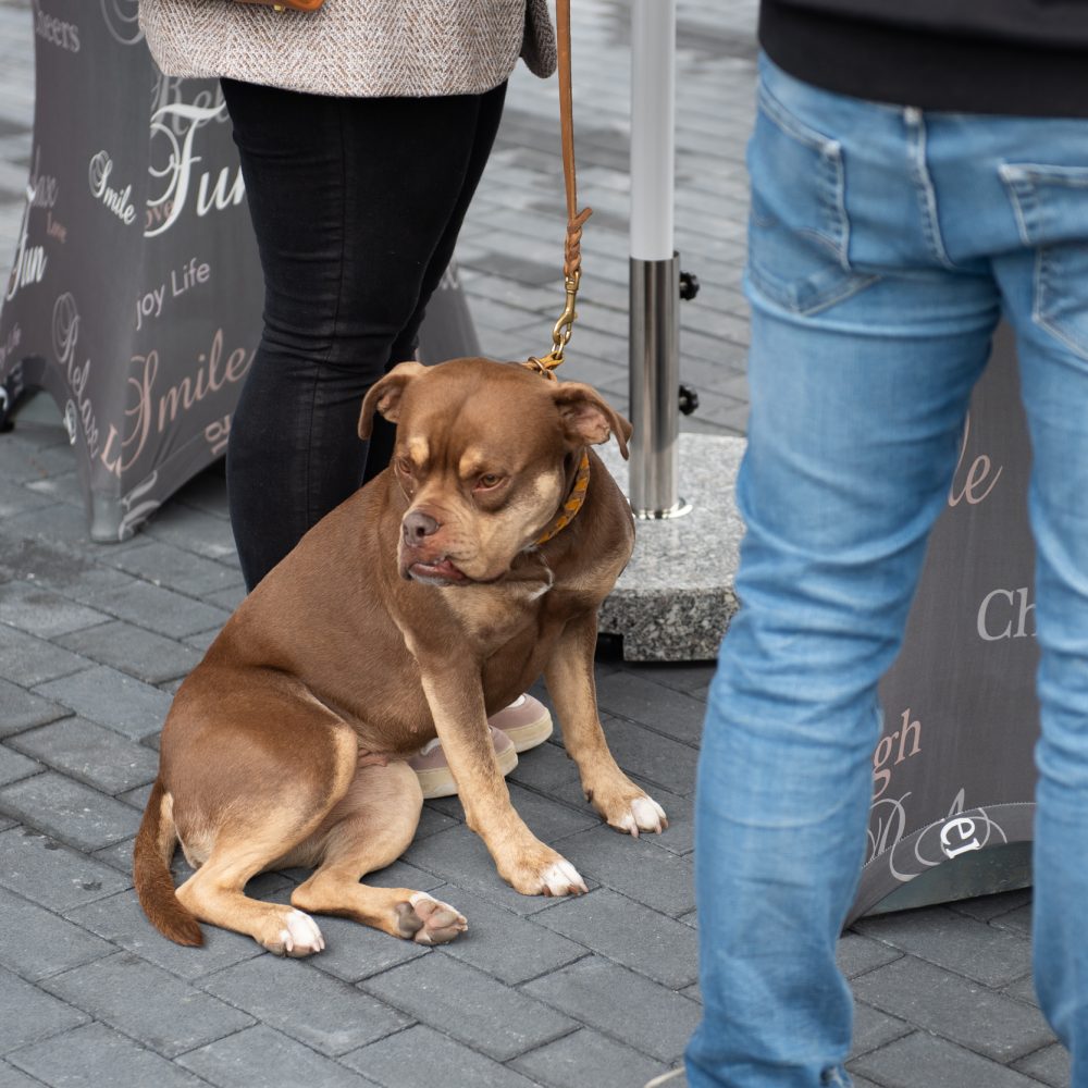 Waltrop Tierkrematorium