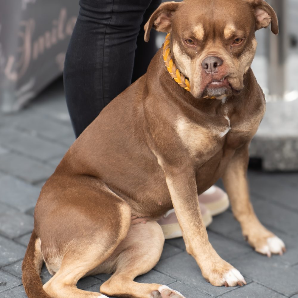 Waltrop Tierkrematorium