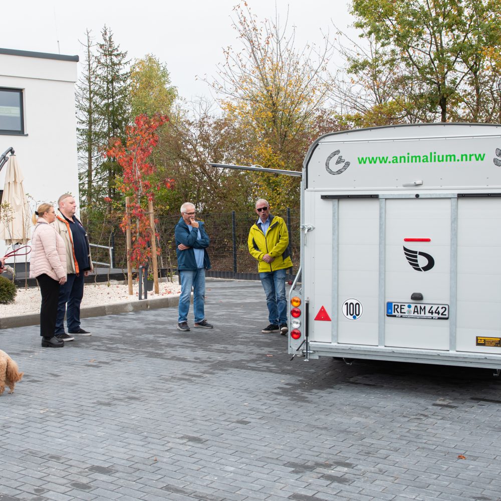 Tierkrematorium Animalium Garten – künstlerische Schlangen-Skulptur mit Hand, Fuß und Tasche