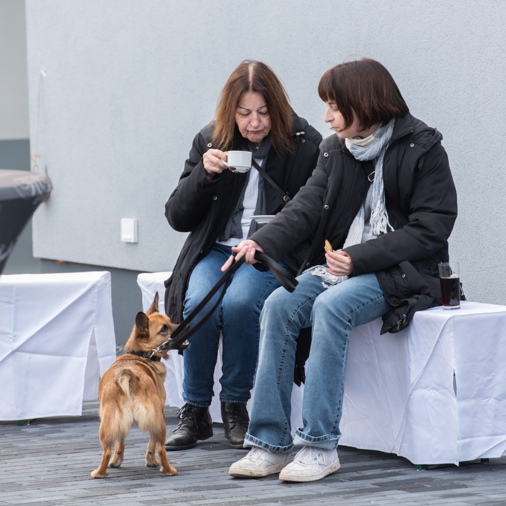 Animalium tierkrematorium gmbh